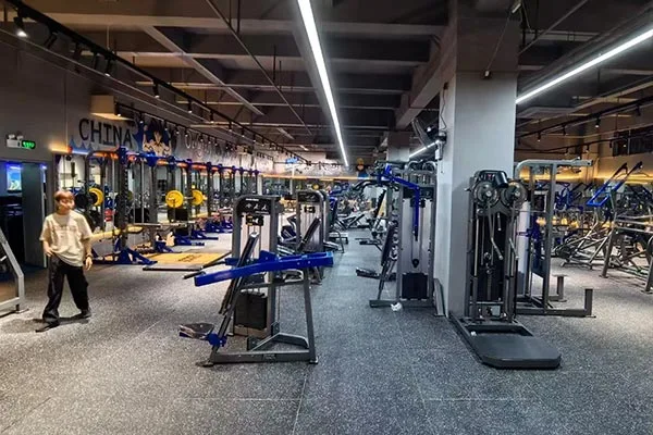 Gyms & Fitness Clubs