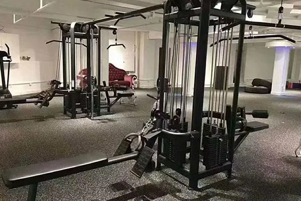 Gyms & Fitness Clubs