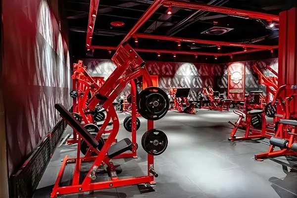 Gyms & Fitness Clubs