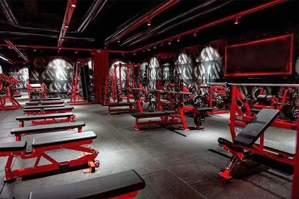 Gyms & Fitness Clubs