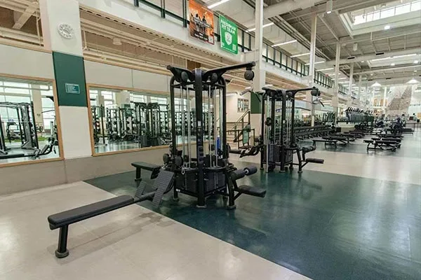 Gyms & Fitness Clubs