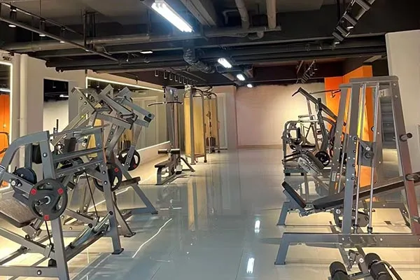 Gyms & Fitness Clubs