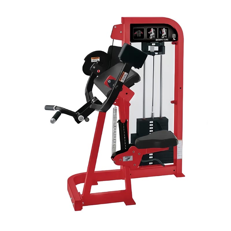 Изаберите Бицепс Цурл Мацхине